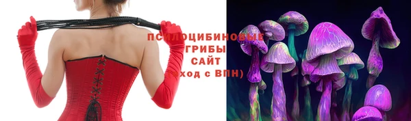 прущие крисы Богородск