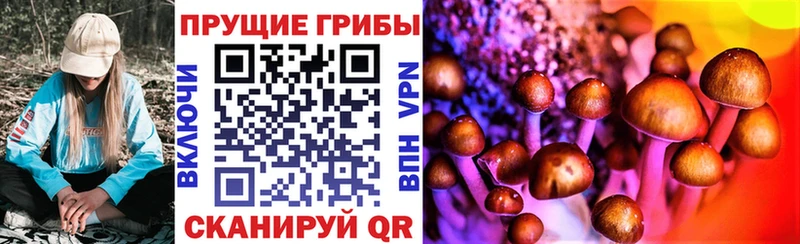 Галлюциногенные грибы прущие грибы  Верхняя Пышма 